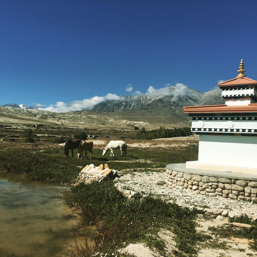 Royal Mustang Resort Nāmbo 外观 照片